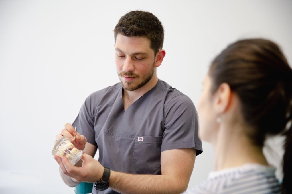 Dentist demonstrating dental model to a patient during a consultation.