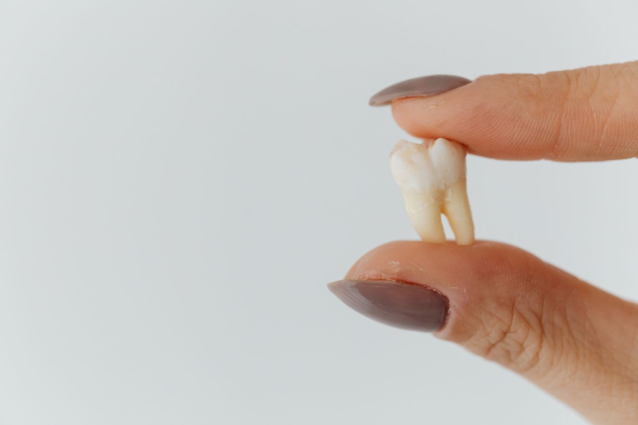 Detailed close-up of fingers holding a loose tooth against a white background.